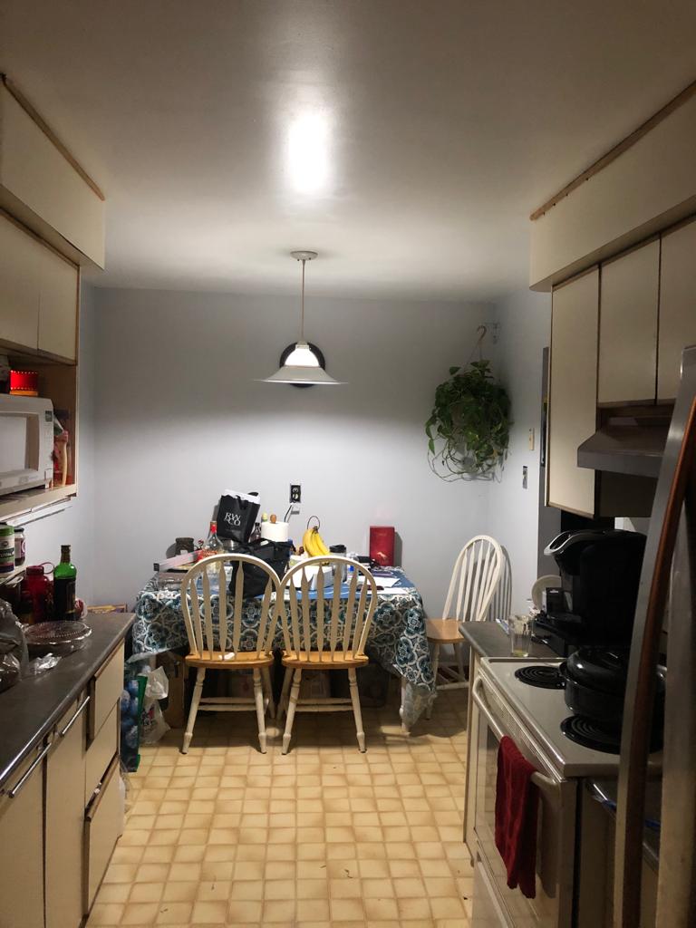 Kitchen Reno 2 - Before 2